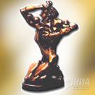 Подведены итоги телевизионного конкурса ТЭФИ-регион 2002, проходившего в Нижнем Новгороде