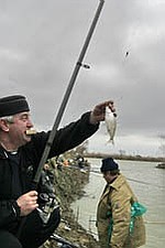 Нынешняя аномальная зима оставила безо льда множество водоемов, но такая простая рыбалка увлекает не всех