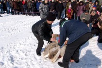 Ассистенты разнимают гусей