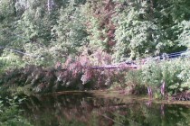 Фото пресс-службы ГУ МЧС РФ по Нижегородской области