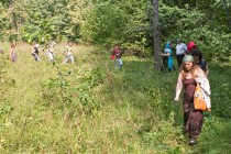 Урочище Куриха, Вознесенский район (Нижегородская область)