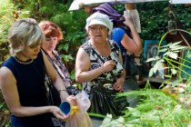 Святой колодец в урочище Куриха, Вознесенский район (Нижегородская область)