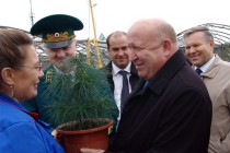 Губернатору подарили саженец кедра