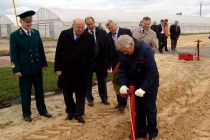 Губернатору показали как саженцы высаживаются в лесу