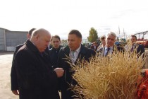 В 2009 году в Нижегородской области был собран рекордный урожай зерновых