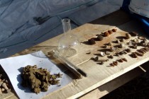 Образцы почв, полученные при бурении скважины