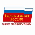 НРО партии Справедливая Россия обратится в УФАС с просьбой провести проверку продажи 75% долей ДУКов в Нижнем Новгороде на соответствие антимонопольному законодательству