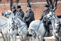 Традиционно в кавалерийском взводе – орловские рысаки серой в яблоках масти