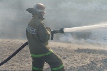 Ликвидация возгорания травы