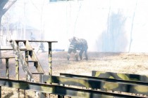 Захват условного противника