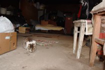 Быт погорельцев