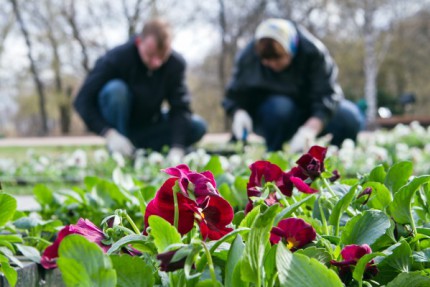 Губернатор Нижегородской области Валерий Шанцев принял участие в субботнике по благоустройству территории Нижегородского кремля