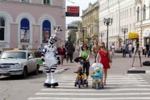 Зебра помогала нижегородцам перейти через дорогу