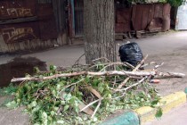 Коммунальные службы города собрали упавшие ветки на основные городские магистрали