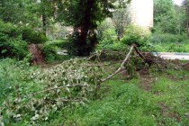 Последствия урагана были заметны в каждом районе Нижнего Новгорода