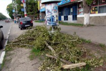 Ветер оборвал ветки деревьев на ул. Бекетова