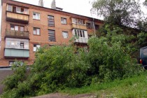 Дерево упало на ул. Бекетова, чудом не задев припаркованную машину