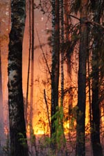 фото ГУ МЧС РФ по НО