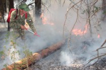 Работник мобильной бригады с ранцевым огнетушителем