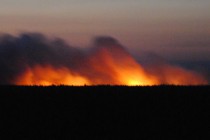 Верховой пожар в ночь на 14 июля (фото ГУ МЧС РФ по Нижегородской области)