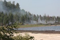 Пожар распространялся в болотах, куда нет доступа техники