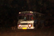 Эвакуация на ощупь. Люди спасаются от огня. Село Верхняя Верея