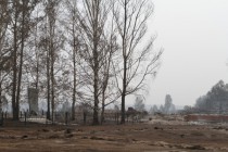 Последствия лесного пожара в селе Верхняя Верея Выксунского района Нижегородской области (03.08.2010)