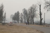 Последствия лесного пожара в селе Верхняя Верея Выксунского района Нижегородской области (03.08.2010)