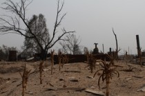 Последствия лесного пожара в селе Верхняя Верея Выксунского района Нижегородской области (03.08.2010)