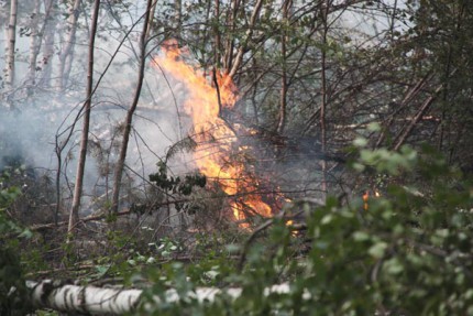 Тушение торфяных пожаров рядом с Нижним Новгородом