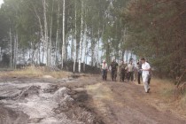 Дачники активно помогают лесникам, когда огонь начинает подбираться к их садам