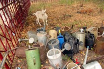 В пос. Виля к оперативному штабу сносят все емкости, в которые можно залить воду