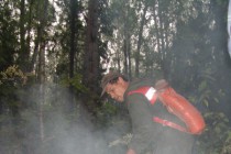 Добровольцы помогают пожарным ликвидировать пожары в лесах