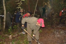Добровольцы помогают пожарным ликвидировать пожары в лесах
