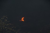 Небольшие очаги пожаров постоянно возникают в лесах вблизи Выксы