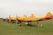 Большинство пилотов выступают на самолетах ЯК-52