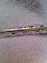 Эпидемия гриппа и ОРВИ началась в Нижнем Новгороде (видео ГТРК Кремль)