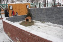 Зоопарк Лимпопо готовит для пары сурков новый вольер