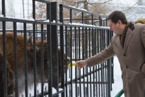 Глава Нижнего Новгорода Олег Сорокин покормил питомцев зоопарка
