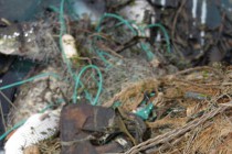 Чаще сего в качестве грузил для сетей браконьеры используют подшипники