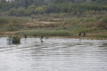 БМП с разведчиками