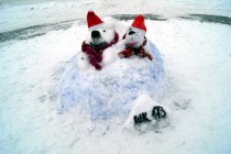 Медведи в новогодних колпаках