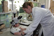 Эксперт установила - вещество для исследования попадает под категорию запрещенных курительных смесей