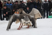 Моменты боя