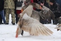 Моменты боя