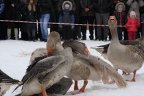 Также запрещены удары в голову