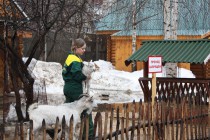 Мать козленка все время следит за своим малышом