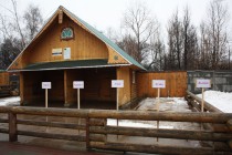 Для финала конкура по выбору имени козленку было отобрано пять вариантов