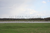 Заливные луга в Большом Козино