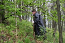 Лисьи норы ветеринарам помогают отыскивать охотники